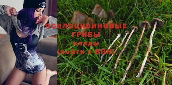 спиды Алексеевка