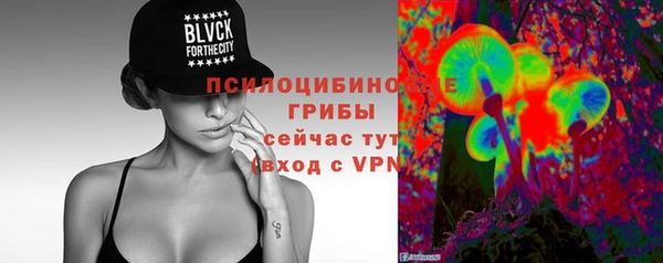 spice Алзамай