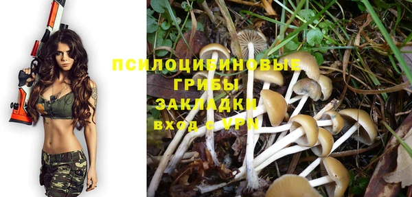spice Алзамай