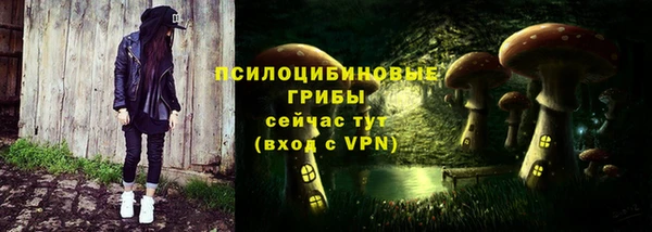 спиды Алексеевка