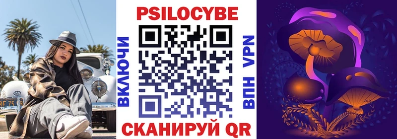 закладки  Павлово  Псилоцибиновые грибы Cubensis 
