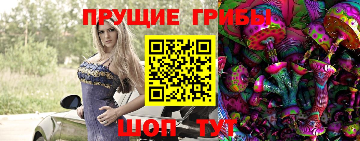 Павлово  Галлюциногенные грибы MAGIC MUSHROOMS  Вход с VPN 